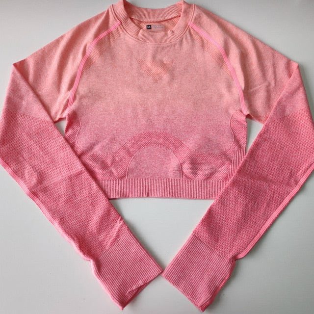 Nepoagym Women Ombre Cropped Seamless Long Sleeve Top Crop Top Women Workout Shirts for Women Sports Tops Gym Women