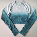 Nepoagym Women Ombre Cropped Seamless Long Sleeve Top Crop Top Women Workout Shirts for Women Sports Tops Gym Women