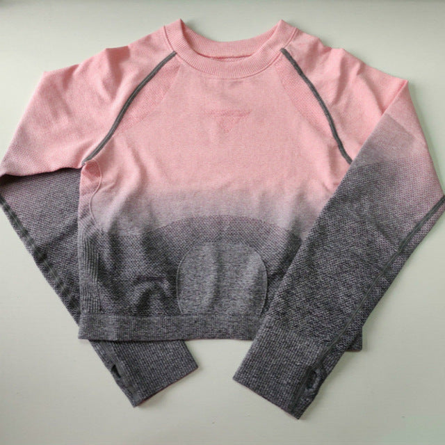 Nepoagym Women Ombre Cropped Seamless Long Sleeve Top Crop Top Women Workout Shirts for Women Sports Tops Gym Women