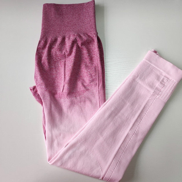 Nepoagym Women Ombre Seamless Leggings In TEAL High Waisted Yoga Pants Woman Sport Leggings Training Tights Gym Fitness Leggings